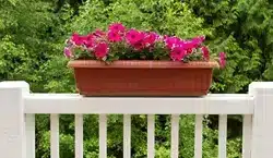 photo of Deck Railing Planter Box